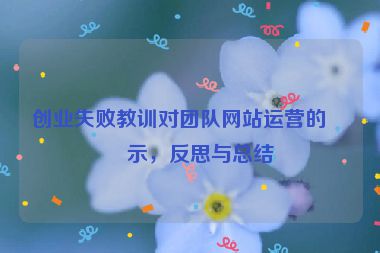 創(chuàng)業(yè)失敗教訓(xùn)對團隊網(wǎng)站運營的啟示，反思與總結(jié)