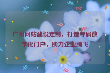廣州網(wǎng)站建設定制，打造專屬數(shù)字化門戶，助力企業(yè)騰飛