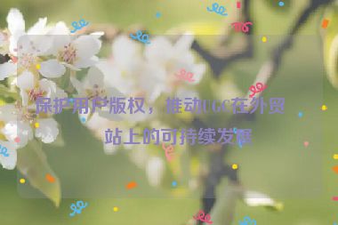 保護(hù)用戶版權(quán)，推動UGC在外貿(mào)網(wǎng)站上的可持續(xù)發(fā)展