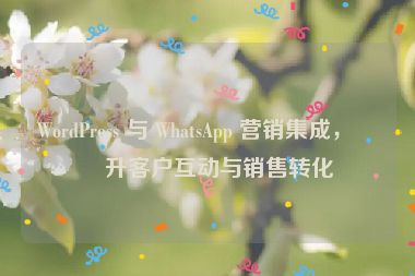 WordPress 與 WhatsApp 營銷集成，提升客戶互動與銷售轉(zhuǎn)化