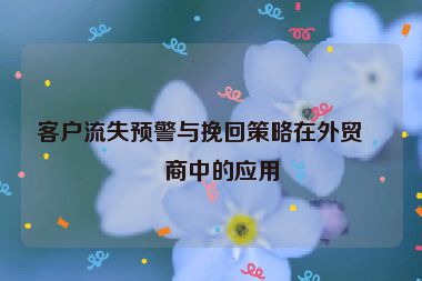 客戶流失預(yù)警與挽回策略在外貿(mào)電商中的應(yīng)用