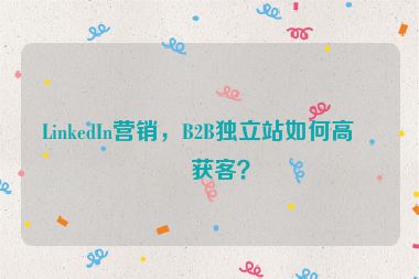 LinkedIn營銷，B2B獨立站如何高效獲客？