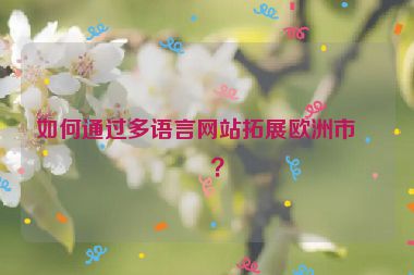 如何通過多語言網(wǎng)站拓展歐洲市場？