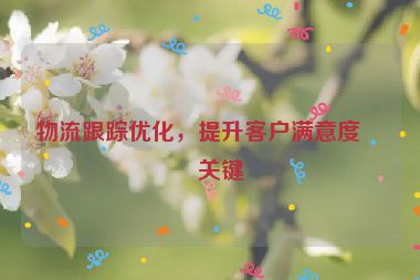 物流跟蹤優(yōu)化，提升客戶滿意度的關(guān)鍵