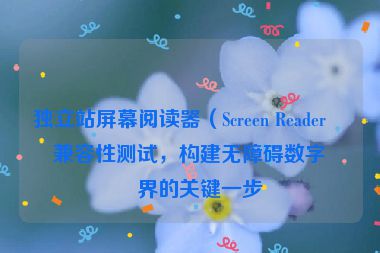 獨立站屏幕閱讀器（Screen Reader）兼容性測試，構建無障礙數(shù)字世界的關鍵一步
