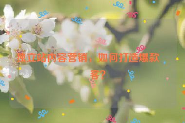 獨(dú)立站內(nèi)容營(yíng)銷，如何打造爆款博客？