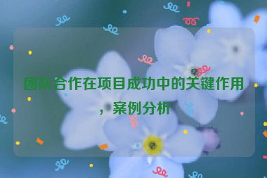 團隊合作在項目成功中的關鍵作用，案例分析