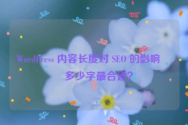 WordPress 內(nèi)容長度對(duì) SEO 的影響，多少字最合適？