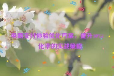 電商支付體驗(yàn)優(yōu)化方案，提升10%轉(zhuǎn)化率的實(shí)戰(zhàn)策略