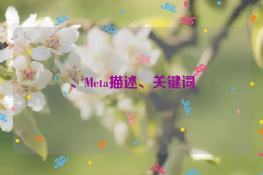 、Meta描述、關(guān)鍵詞