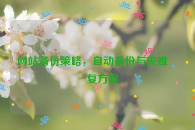 網(wǎng)站備份策略，自動備份與災(zāi)難恢復(fù)方案