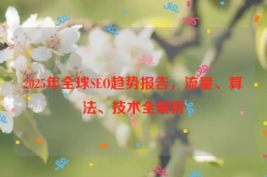 2025年全球SEO趨勢報告，流量、算法、技術(shù)全解析