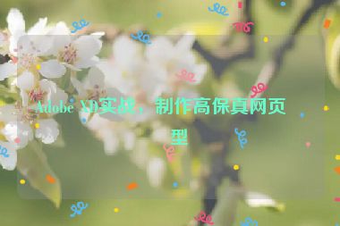 Adobe XD實(shí)戰(zhàn)，制作高保真網(wǎng)頁原型