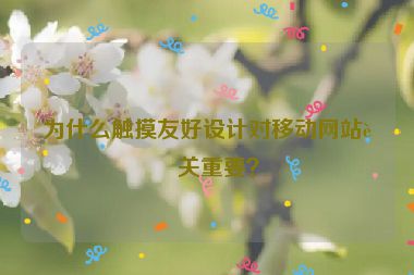 為什么觸摸友好設(shè)計對移動網(wǎng)站至關(guān)重要？
