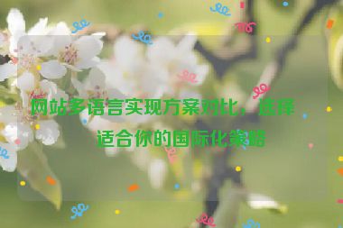 網(wǎng)站多語言實(shí)現(xiàn)方案對(duì)比，選擇最適合你的國際化策略