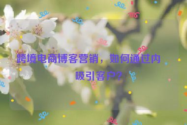 跨境電商博客營銷，如何通過內(nèi)容吸引客戶？