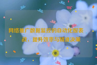 網(wǎng)絡推廣數(shù)據(jù)監(jiān)控的自動化報表實戰(zhàn)，提升效率與精準決策