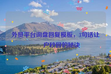 外貿(mào)平臺詢盤回復(fù)模板，3句話讓客戶秒回的秘訣