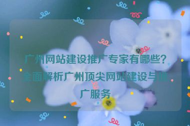 廣州網站建設推廣專家有哪些？全面解析廣州頂尖網站建設與推廣服務