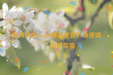 如何應(yīng)對Google算法更新？快速調(diào)整策略指南