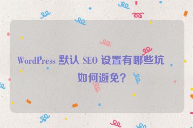 WordPress 默認(rèn) SEO 設(shè)置有哪些坑？如何避免？