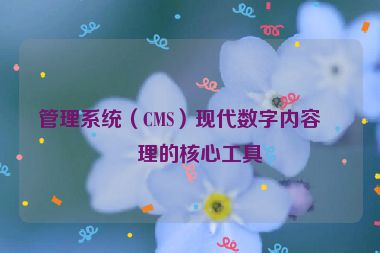 管理系統(tǒng)（CMS）現(xiàn)代數(shù)字內容管理的核心工具