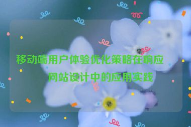 移動端用戶體驗優(yōu)化策略在響應式網(wǎng)站設計中的應用實踐