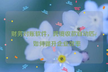 財務(wù)對賬軟件，跨境收款自動匹配如何提升企業(yè)效率