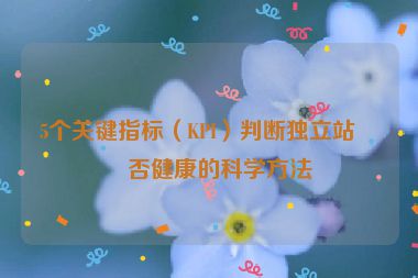 5個關(guān)鍵指標（KPI）判斷獨立站是否健康的科學(xué)方法