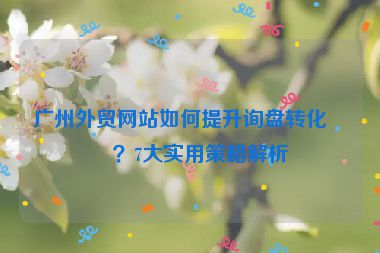 廣州外貿(mào)網(wǎng)站如何提升詢盤轉(zhuǎn)化率？7大實(shí)用策略解析