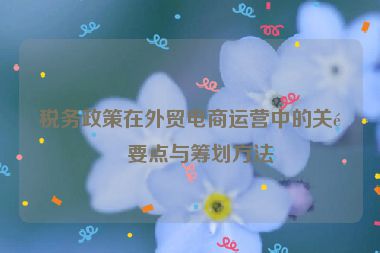 稅務(wù)政策在外貿(mào)電商運(yùn)營(yíng)中的關(guān)鍵要點(diǎn)與籌劃方法