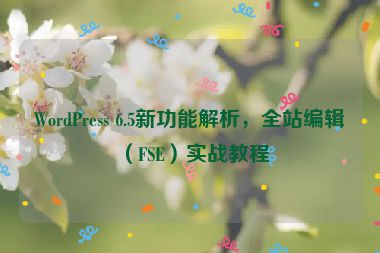 WordPress 6.5新功能解析，全站編輯（FSE）實(shí)戰(zhàn)教程