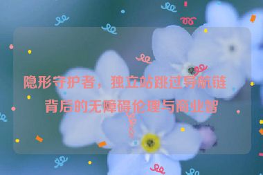 隱形守護(hù)者，獨(dú)立站跳過導(dǎo)航鏈接背后的無障礙倫理與商業(yè)智慧