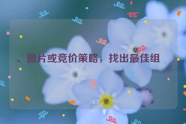 、圖片或競(jìng)價(jià)策略，找出最佳組合