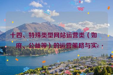 十四、特殊類型網(wǎng)站運營類（如政府、公益等）的運營策略與實踐