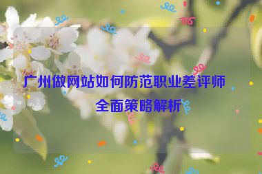 廣州做網(wǎng)站如何防范職業(yè)差評師？全面策略解析
