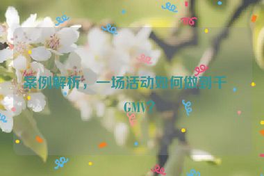 案例解析，一場(chǎng)活動(dòng)如何做到千萬(wàn)GMV？