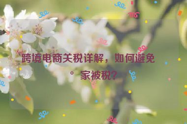 跨境電商關(guān)稅詳解，如何避免買家被稅？