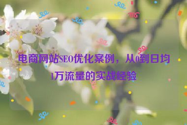 電商網(wǎng)站SEO優(yōu)化案例，從0到日均1萬流量的實戰(zhàn)經(jīng)驗