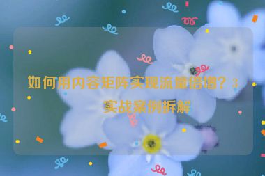 如何用內(nèi)容矩陣實現(xiàn)流量倍增？3個實戰(zhàn)案例拆解