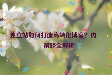 獨(dú)立站如何打造高轉(zhuǎn)化博客？內(nèi)容策略全解析