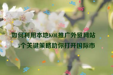 如何利用本地KOL推廣外貿(mào)網(wǎng)站？5個(gè)關(guān)鍵策略助你打開國(guó)際市場(chǎng)