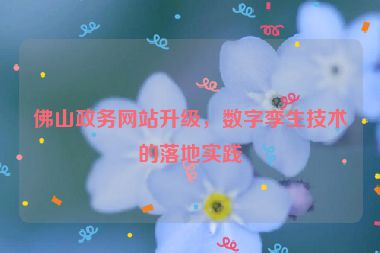 佛山政務(wù)網(wǎng)站升級(jí)，數(shù)字孿生技術(shù)的落地實(shí)踐