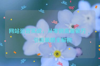網(wǎng)站運營實戰(zhàn)，從零到流量破萬的引流策略全解析