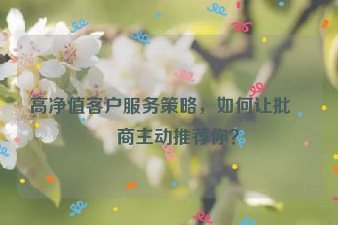 高凈值客戶(hù)服務(wù)策略，如何讓批發(fā)商主動(dòng)推薦你？