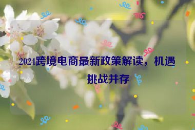 2024跨境電商最新政策解讀，機(jī)遇與挑戰(zhàn)并存