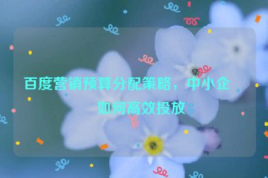 百度營(yíng)銷預(yù)算分配策略，中小企業(yè)如何高效投放