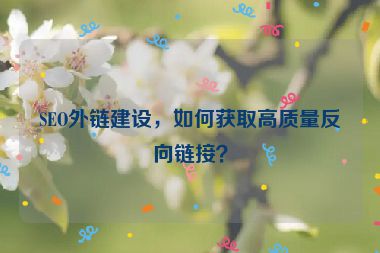 SEO外鏈建設(shè)，如何獲取高質(zhì)量反向鏈接？