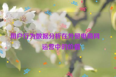 用戶行為數(shù)據(jù)分析在外貿(mào)電商網(wǎng)站運營中的價值