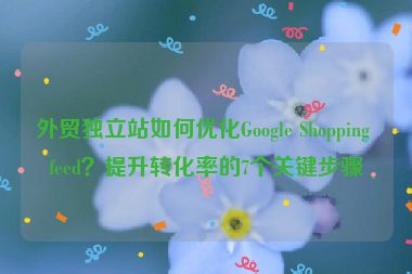 外貿(mào)獨(dú)立站如何優(yōu)化Google Shopping feed？提升轉(zhuǎn)化率的7個關(guān)鍵步驟